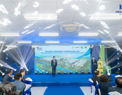 MINH NGA EVENT
